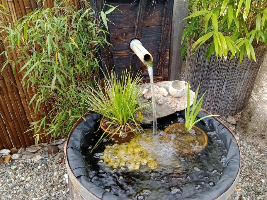 La Cabane Des Colibris Rieupeyroux  Dış mekan fotoğraf